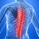 Giornata Mondiale dell’Osteoporosi