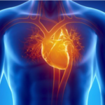 Diagnostica cardiologica e vascolare a Napoli: il cuore al centro delle cure