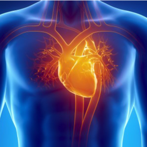 Diagnostica cardiologica e vascolare a Napoli: il cuore al centro delle cure