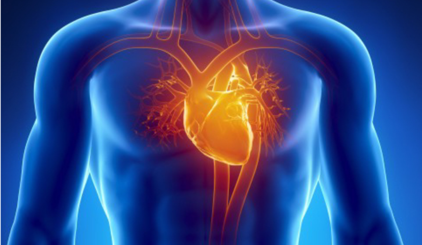 Diagnostica cardiologica e vascolare a Napoli: il cuore al centro delle cure