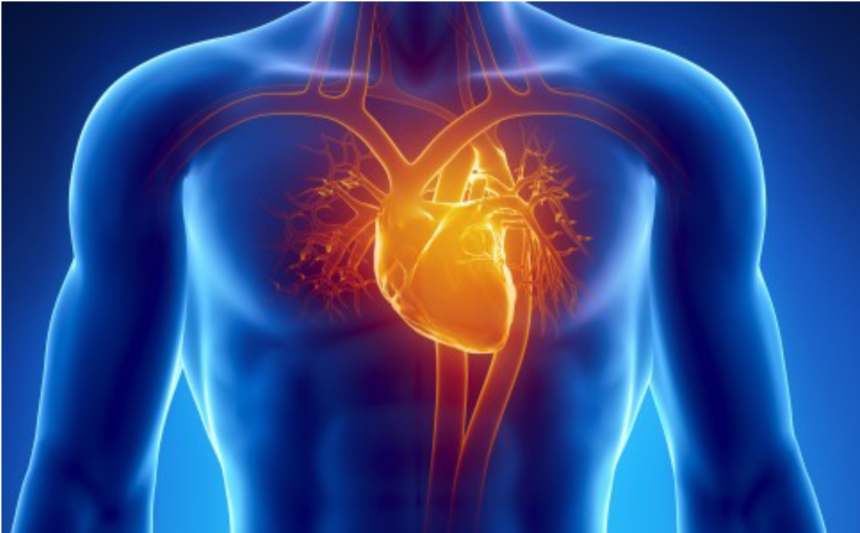 Diagnostica cardiologica e vascolare a Napoli: il cuore al centro delle cure